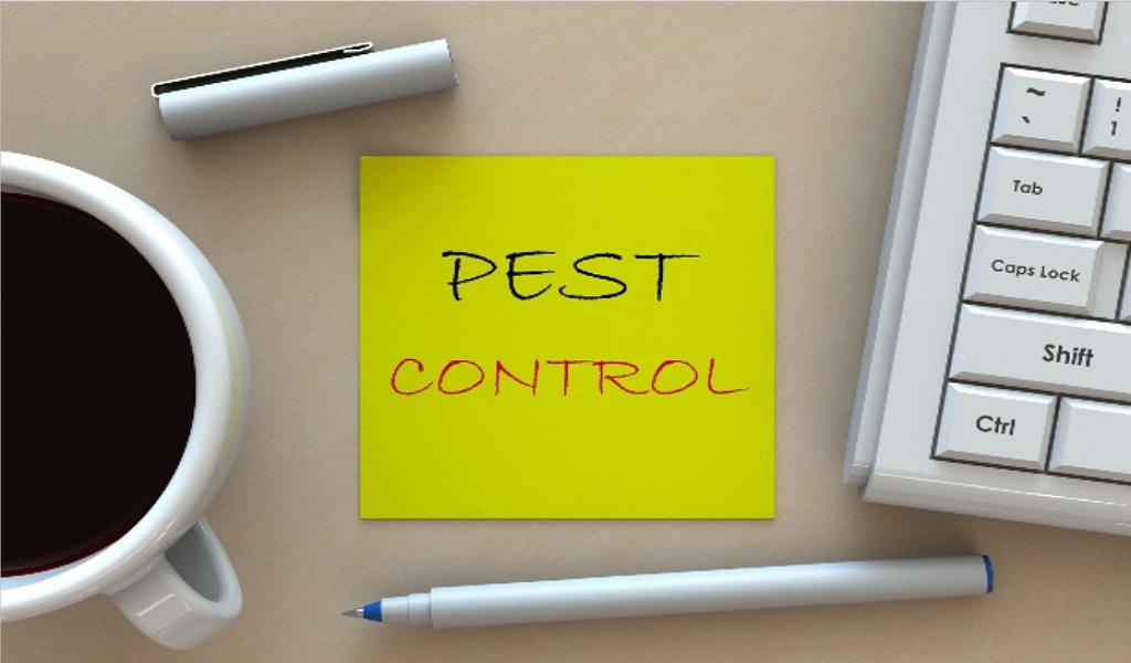 Pest Control Company Near Me How To Choose The Right One VastInfoHub   Pest Control Company 