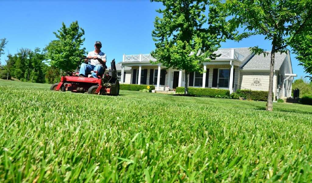 how-to-hire-lawn-care-providers-everything-you-need-to-know-vastinfohub